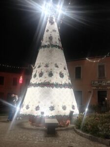 Albero 2023