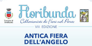 Descrizione dell'immagine