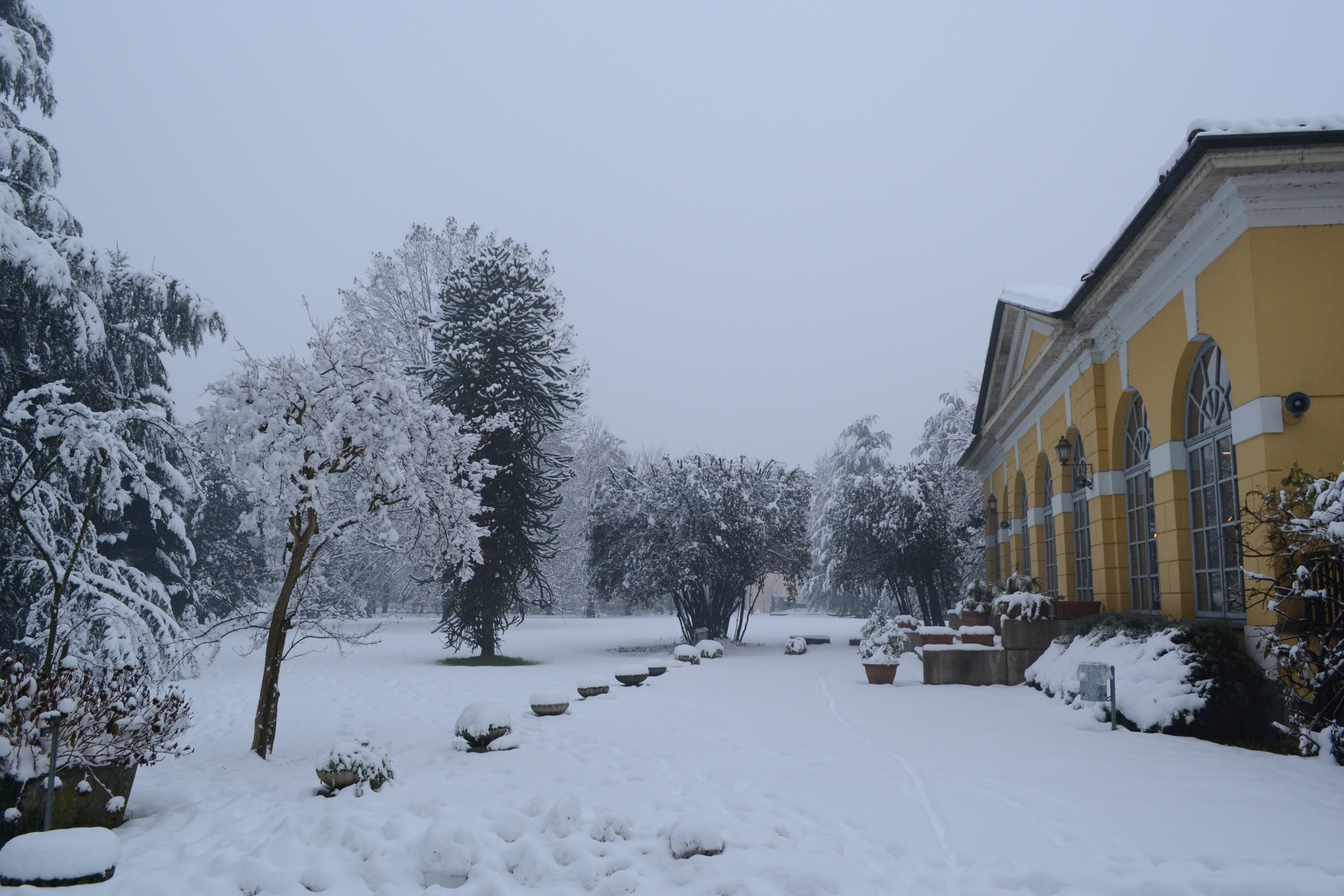 Parco comunale nevicata